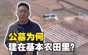 聚焦三农丨河南潢川：公墓为何建在基本农田里