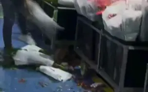 花价下降，留下烂掉，贱卖又不舍，花店老板冲动毁花。