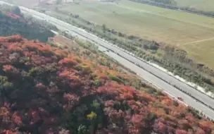 跟随“玫瑰”脚步，解锁顺义最美公路赏不尽的风光