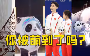 没人能拒绝冬奥顶流冰墩墩