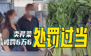 夫妻俩卖20元芹菜被罚6万6，国务院督查组：处罚过当