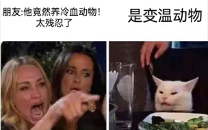 人间真实之爬宠梗图