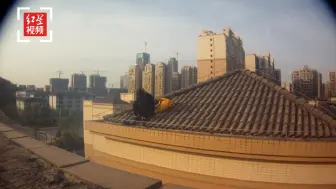 小伙先后三次跳楼威胁前女友复合 被拘5天