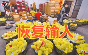 国台办：即日起恢复台湾地区番荔枝输入