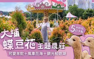 梦生活｜大埔蝶豆花主题农庄，5大好玩打卡点！超萌羊驼＋风车花海＋观光船游湖