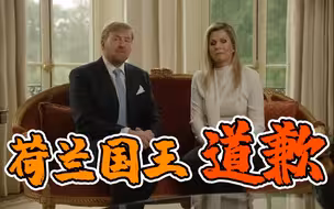荷兰国王道歉：我们不该出国度假