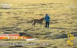 寻找雪山下的蒙古族人
