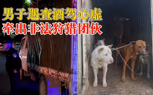 男子遇查酒驾心虚牵出非法狩猎团伙：车厢里有猎网、朴刀和猎狗