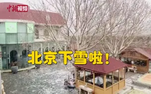 昨天短袖，今天羽绒服！北京下春雪啦！