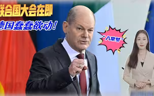 “入常梦”继续，联合国大会在即，德国开始蠢蠢欲动