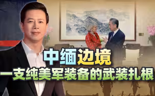 危急！中缅边境一支纯美军装备的武装扎根，王外长给缅甸指了条路