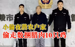 小偷夜潜农户家偷走数捆腊肉10只鸡：价值逾3千元