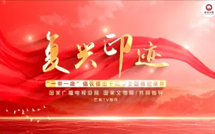 复兴印迹宣导片
