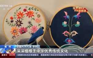#视听看两会 履职一年间丨非遗技艺如何吸引年轻人？她在直播培训中寻找突破口（央视新闻）