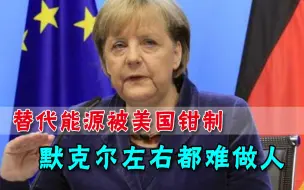 2022年，德国将全面放弃核能，为此赔偿186亿，彻底沦为美国附庸