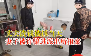 丈夫洗钱被抓当天妻子被诈骗报案：两起案件都在侦办中
