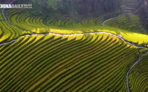 《话说中国节》之秋季篇