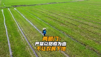 两部门：严禁以防疫为由不让农民下地