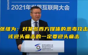 张维为：对某些西方媒体的恶毒攻击，该迎头痛击的一定要迎头痛击