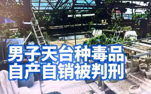 男子天台种毒品自产自销被判刑