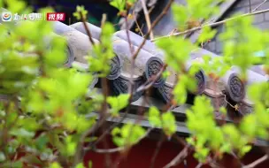 走进春天：惊艳了！东夷小镇的春天！