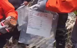 视频：东航失事客机两个黑匣子中的一个已找到