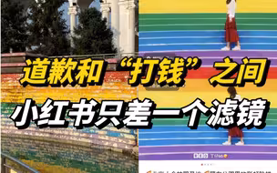道歉和“打钱”之间，小红书只差一个滤镜