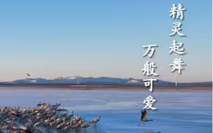 #最美中国 踏雪寻踪 领略醉人的北国风光