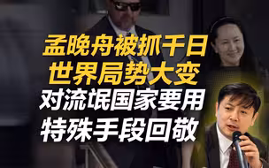 李肃：孟晚舟被抓千日，世界局势大变，对流氓国家要用特殊手段回敬