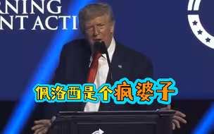 特朗普炮轰佩洛西：她就是个疯婆子，还靠内幕消息帮丈夫捞钱