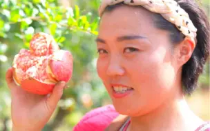 小石榴做成大产业 乡亲们的日子像石榴果一样红红火火 #有一种自豪叫中国 #盛世中华 大美中国 #全国广电新媒体集结发光