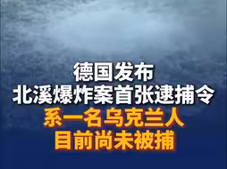 德国发布北溪爆炸案首张逮捕令，系一名乌克兰人，目前尚未被捕
