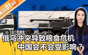 【环球叶问】俄乌冲突持续，粮食危机正在路上！中国会不会受影响？