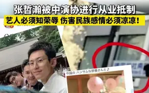 张哲瀚被中演协进行从业抵制