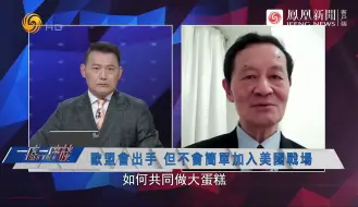 何伟文：中美贸易战欧盟会出手，但不会简单加入美国战场
