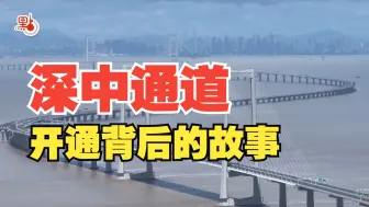 中国人的超级工程又上新！建设团队讲述深中通道开通背后的故事