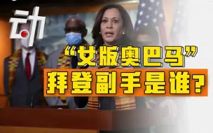 从“女版奥巴马”到“捍卫非裔美国人” 拜登副手哈里斯究竟啥来头？