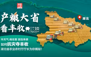 三农三人谈｜产粮大省看丰收·湖北篇
