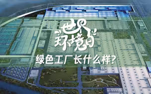 绿色工厂里有什么？这里让生产变得诗意而精准