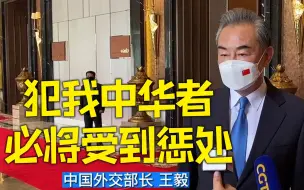 王毅表示佩洛西窜访台湾是一场闹剧 犯我中华者必将受惩处