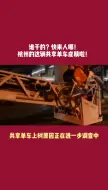 成精的共享单车