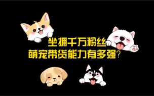 线上宠物经济观察：流量新担当 萌宠也是打工人