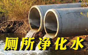 英国官员劝民众喝厕所净化水：“不要那么娇气”