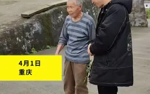 司机不慎碾死一只鸡 半小时才找到鸡主人 鸡主人感动不让赔钱