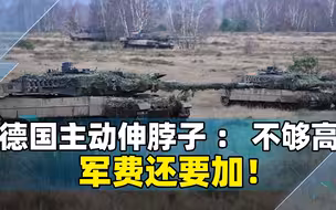 法国被美国摁着头，德国却主动伸脖子：不够高，军费还要加！