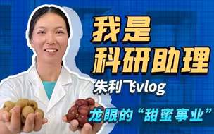 我是科研助理丨朱利飞：我和龙眼的“甜蜜事业”