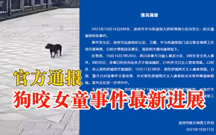 黑色罗威纳犬主人唐某到案