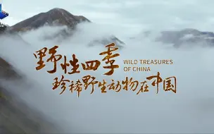 好消息又来了！动物迷们请接收！