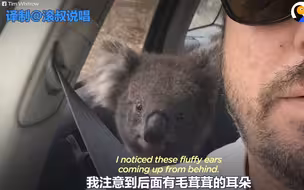 澳洲人民普通的一天