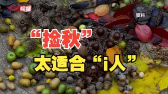 “捡秋”潮兴起 专家提醒别“伤秋”也莫乱吃